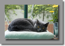 Je pose dans ma veranda