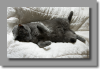 Un peu de relaxation