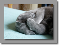 Je veux pas voir �a