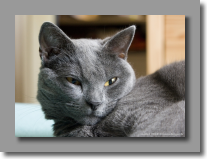 Bon allez je vais dormir !