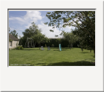 Les arbres du jardin